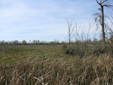 Lookout point