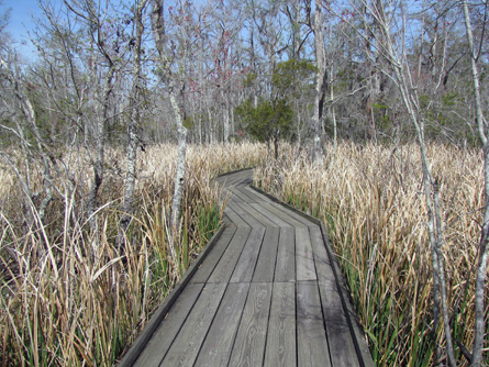 Boardwalk